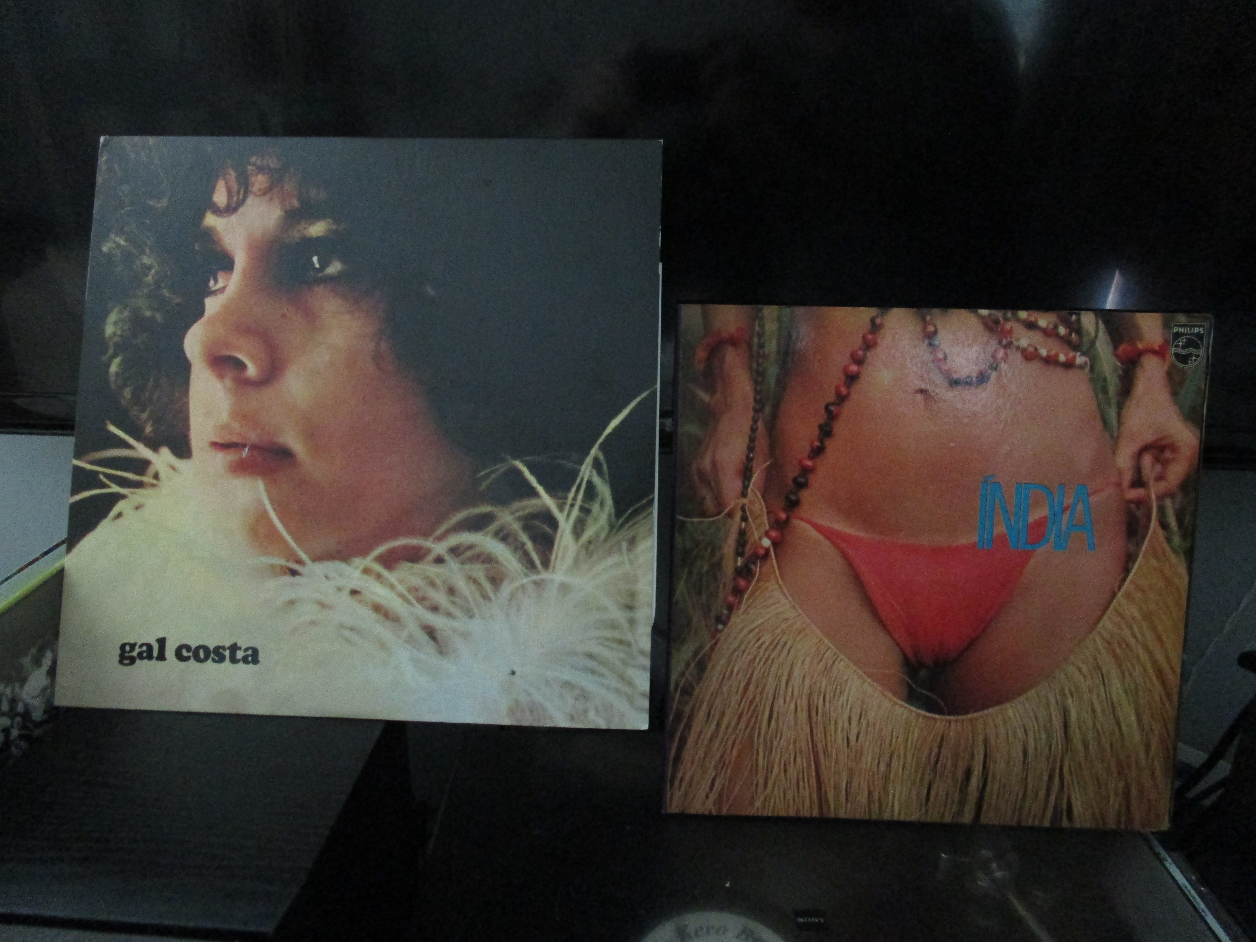 Gal Costa